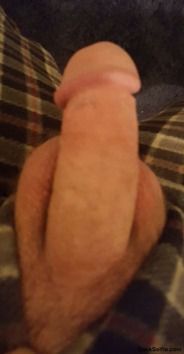 What do you think,wanna suck this - Cock Selfie