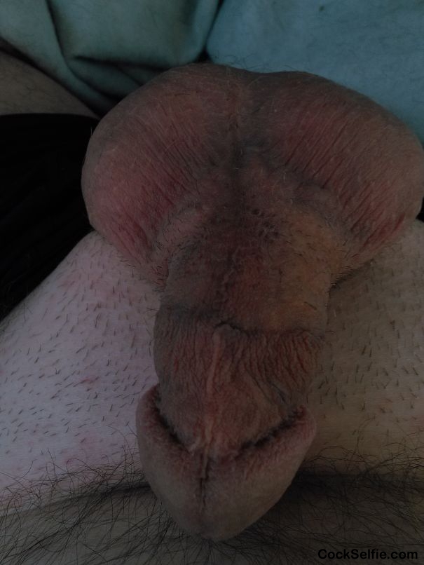 Getting ready for a morning cock Massage. Anyone wanna jerkoff with me and post pics? - Cock Selfie