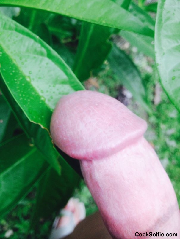 GO GREEN ;) - Cock Selfie