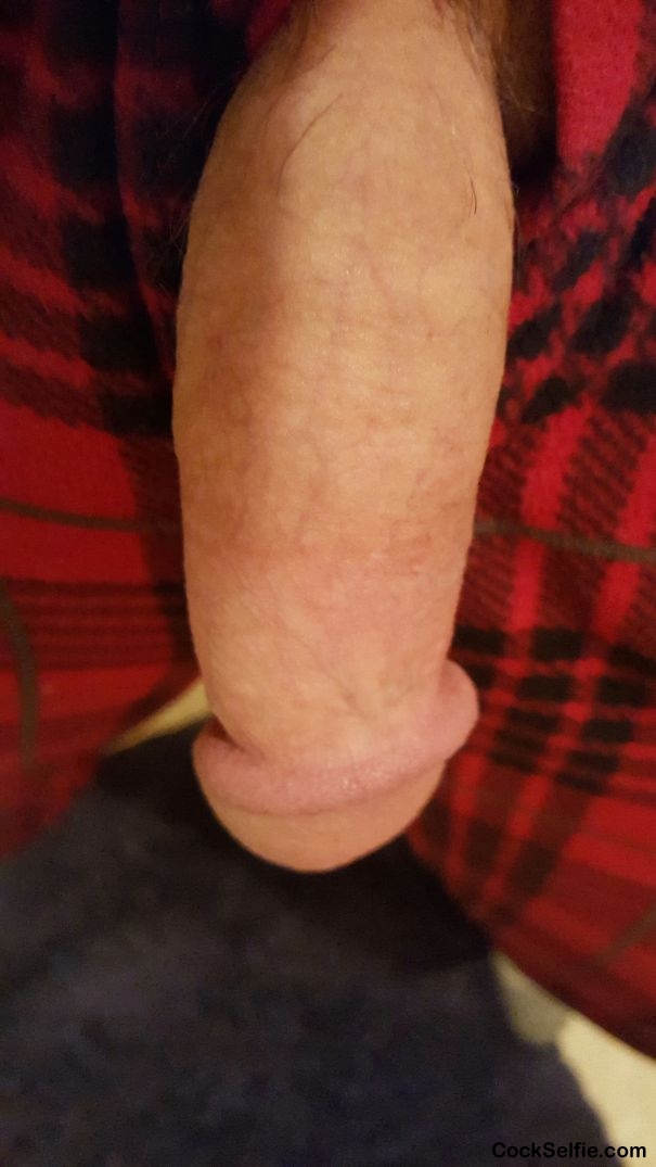 Who wants to make me hard.... - Cock Selfie