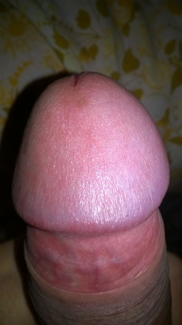  - Cock Selfie