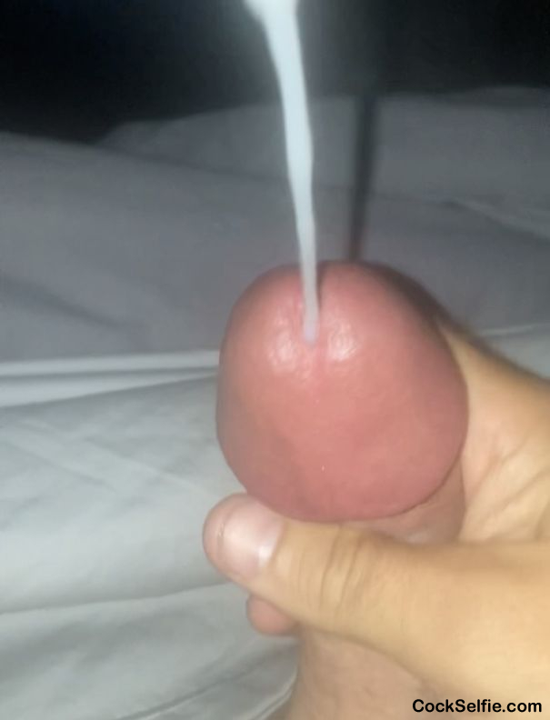 Let me know what you think! - Cock Selfie