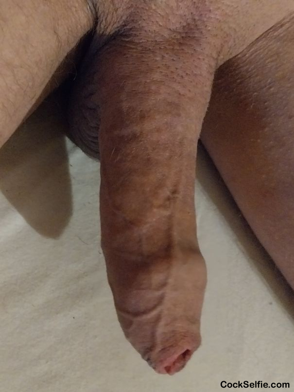 Dont care if you dont like this - Cock Selfie