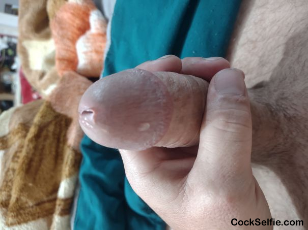 Long hard white dick - Cock Selfie