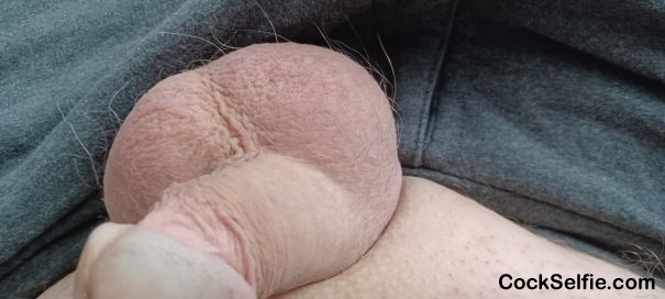  - Cock Selfie