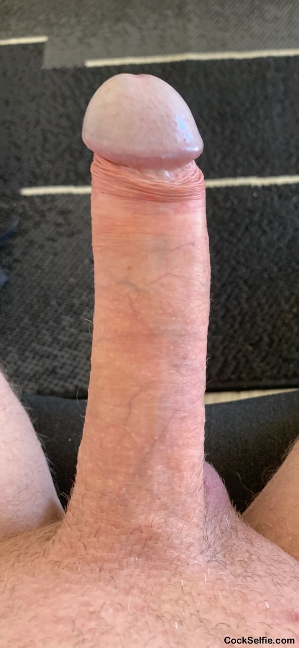 Need an Aussie guy to suck this :) - Cock Selfie