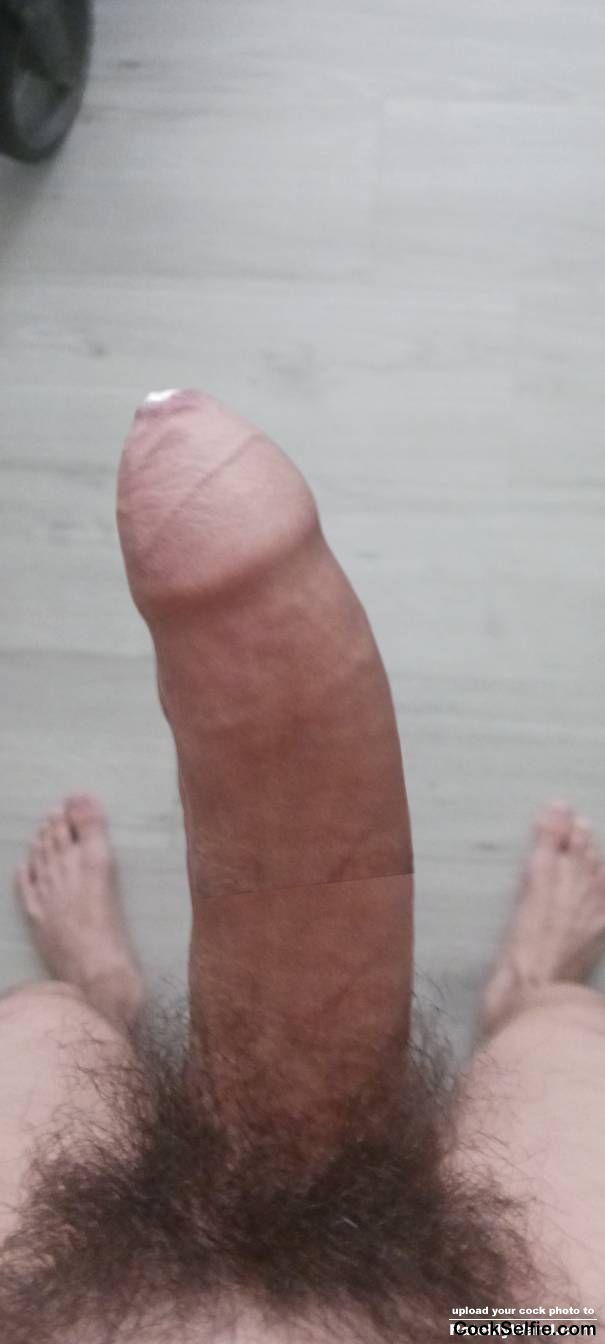  - Cock Selfie