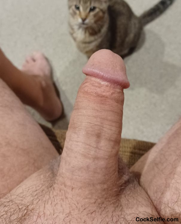  - Cock Selfie