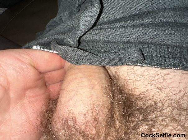 Looking for pa people - Cock Selfie