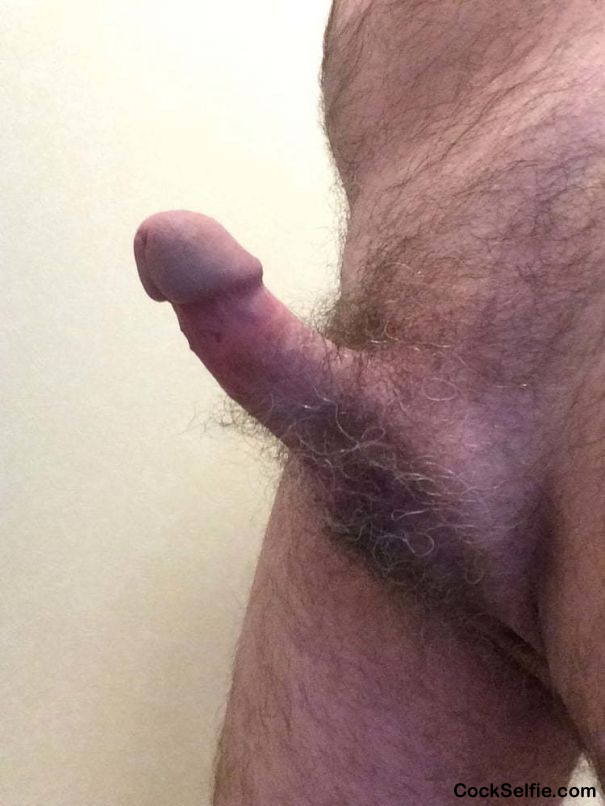 My hard up cock - Cock Selfie