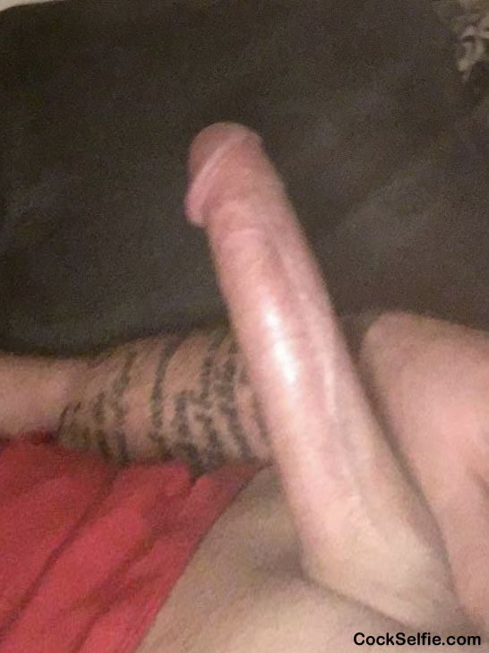 One of my first cock pics - Cock Selfie