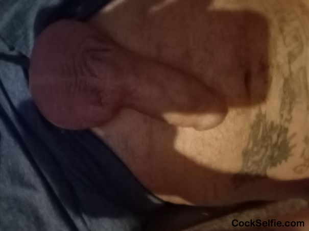  - Cock Selfie