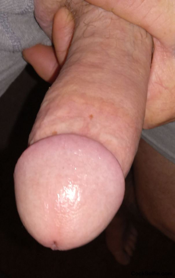 Suck me or fuck me - Cock Selfie