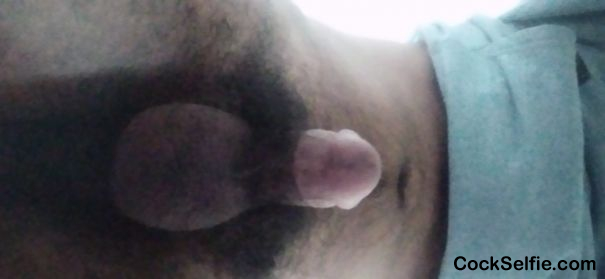 Dick - Cock Selfie