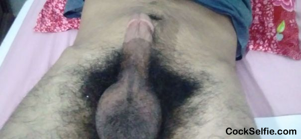 Dick Balls - Cock Selfie