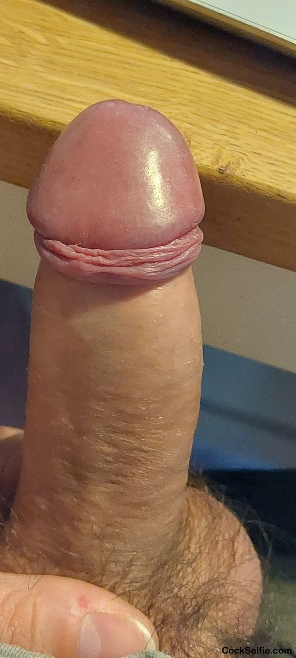  - Cock Selfie