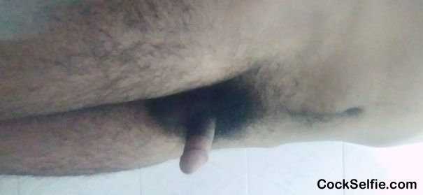 Penis - Cock Selfie