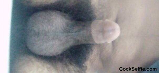 dick - Cock Selfie