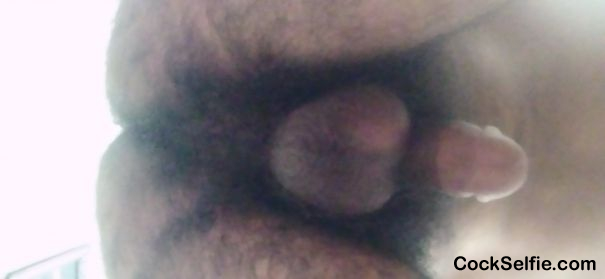 Balls Ass - Cock Selfie