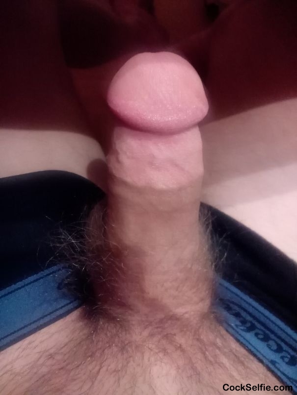 Kik me: Quattro1234567 - Cock Selfie