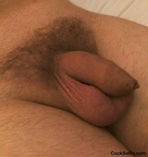 Can You make me hard? - Cock Selfie