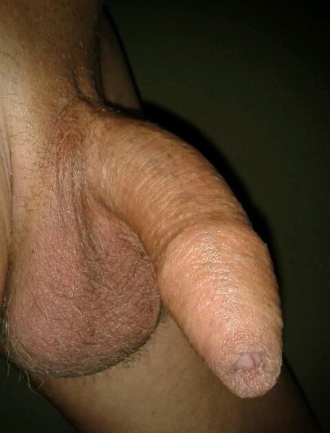  - Cock Selfie