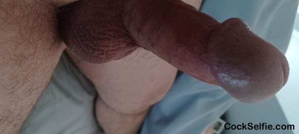  - Cock Selfie