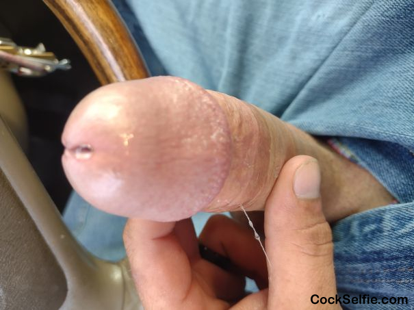 Long hard white dick - Cock Selfie