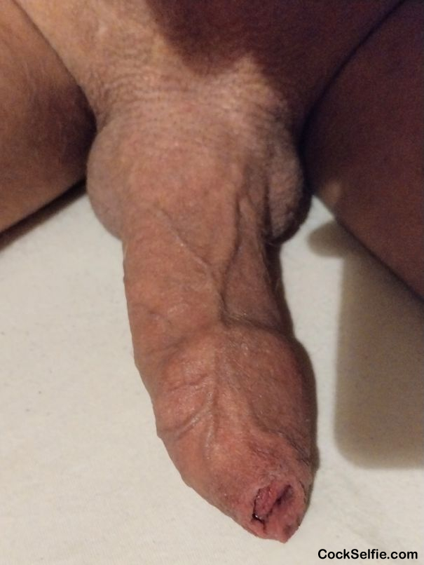 Dickpic - Cock Selfie