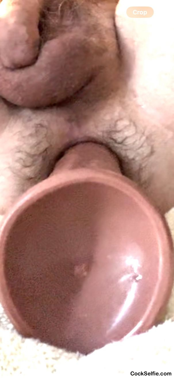 Fuck. Thatâ€™s all the way in me - Cock Selfie