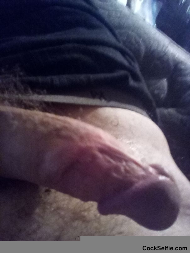 Pm me so I can cum for u mean or women - Cock Selfie