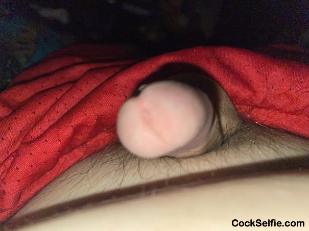 Suck me daddy - Cock Selfie