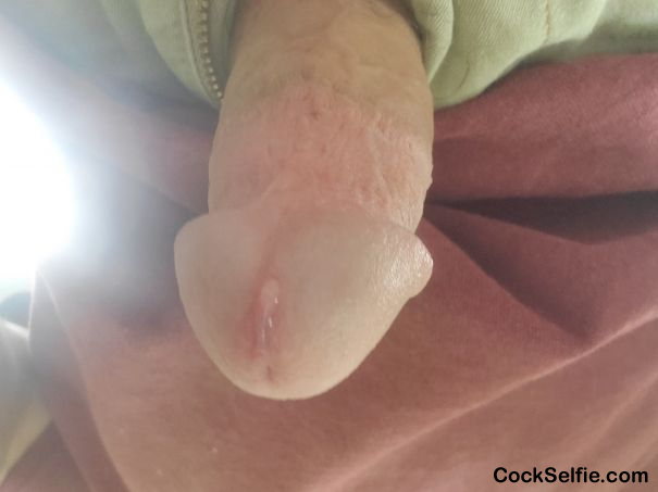 Lil precum - Cock Selfie