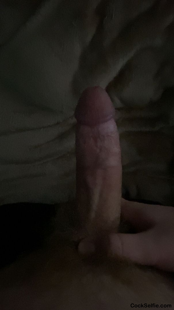 Just an average cock - Cock Selfie