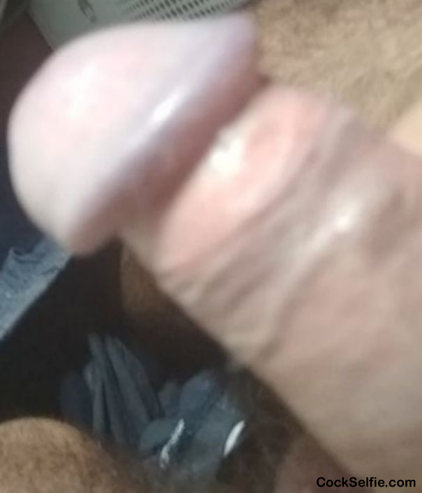  - Cock Selfie