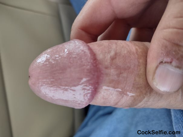 Long hard white dick - Cock Selfie