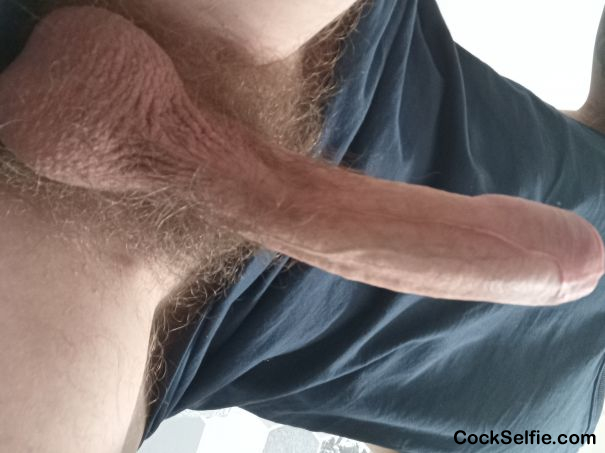  - Cock Selfie