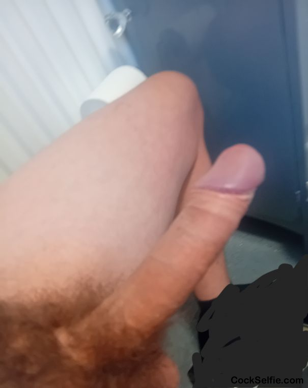  - Cock Selfie