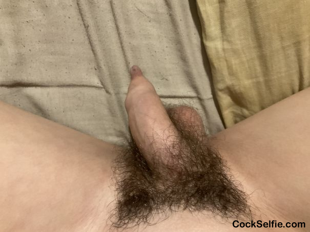 Soft and small - Cock Selfie