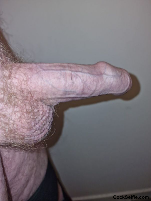 Cock - Cock Selfie