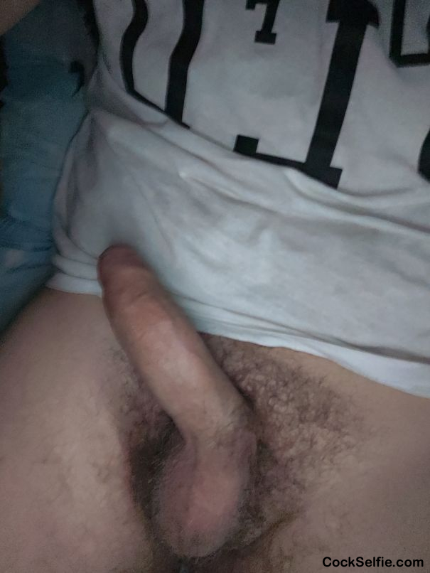 Lick me - Cock Selfie