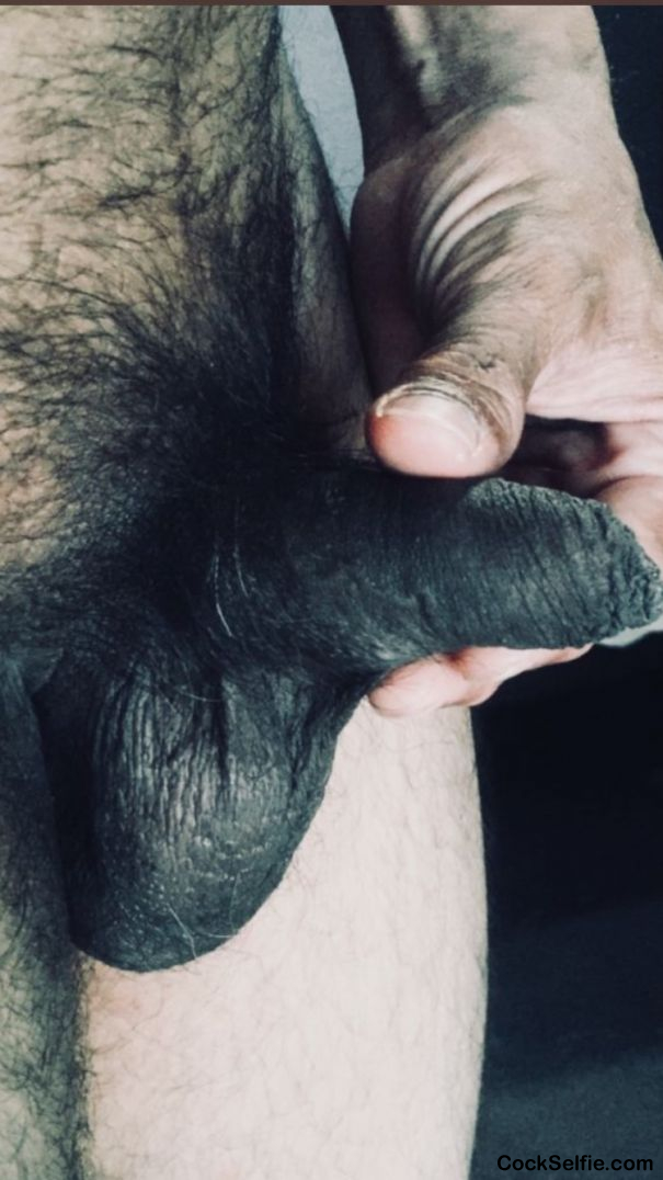  - Cock Selfie