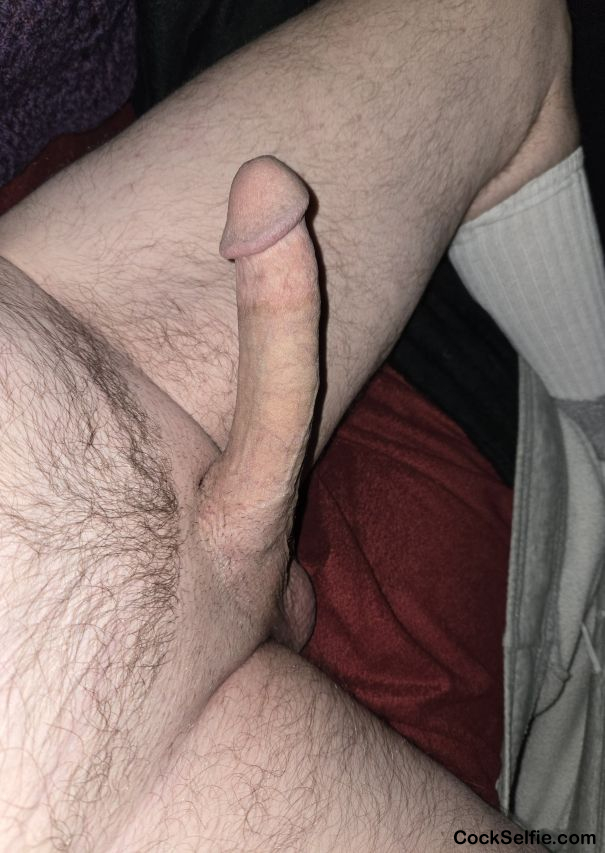 Mondays - Cock Selfie