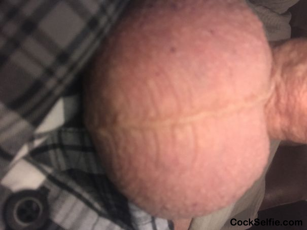 Balls are full. Any takers? - Cock Selfie