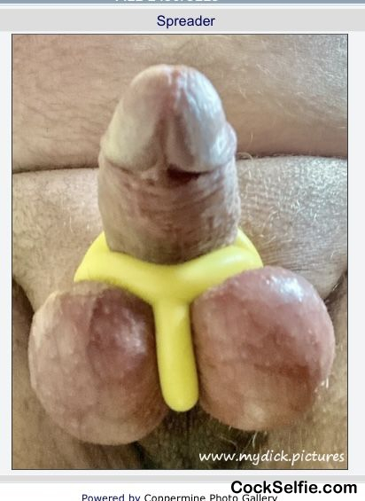 Ball spreader - Cock Selfie