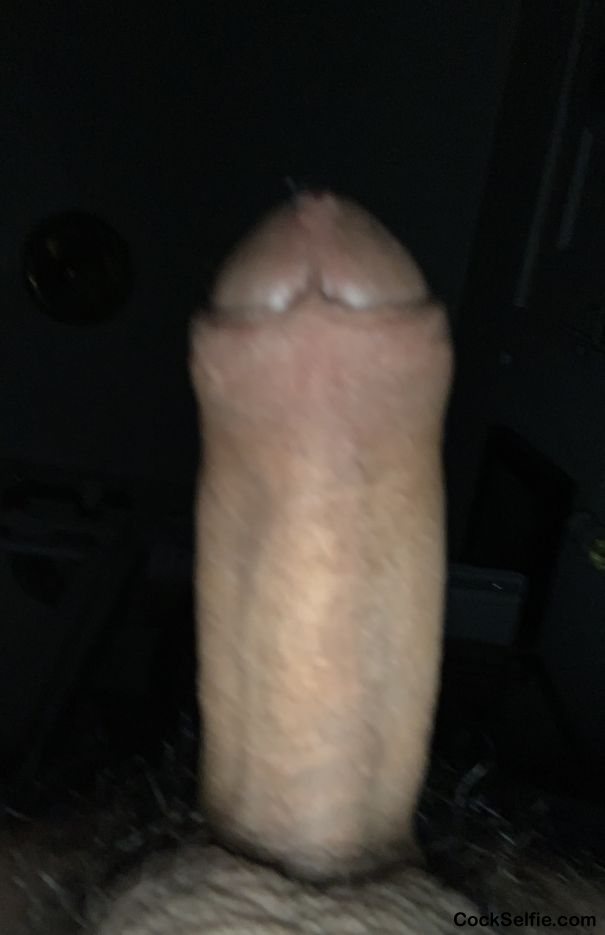  - Cock Selfie