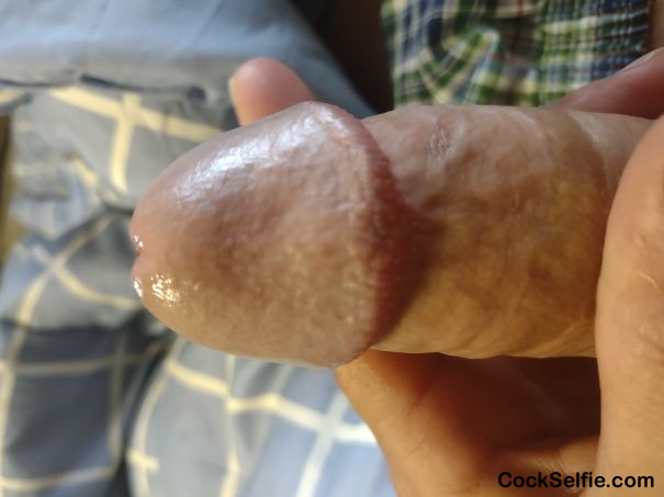 Long hard white dick - Cock Selfie