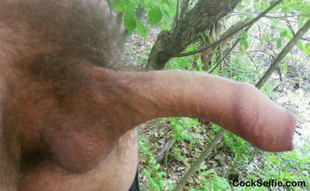 What would you do if you saw me in the woods like this ?? - Cock Selfie