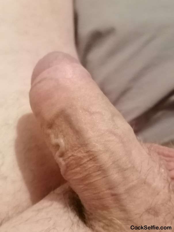 Fancy a suck - Cock Selfie