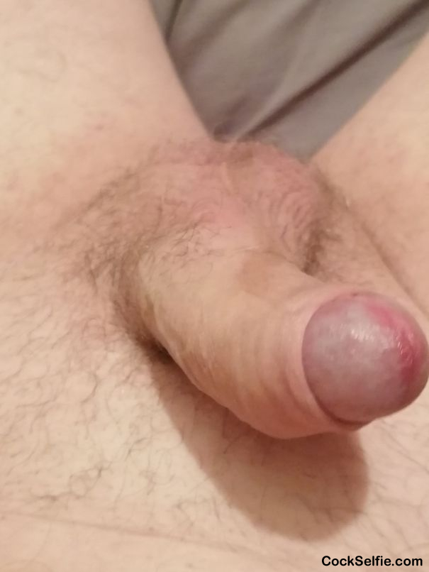 Lick it - Cock Selfie